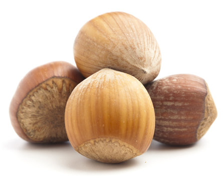 hazelnuts