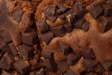 closeup of a brownie