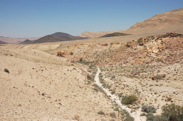 Spring in Crater Ramon, Negev desert.