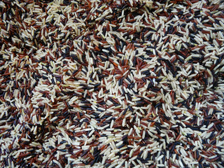 Background of rice