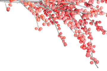 Christmas branch with red berries isolated on white