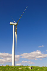 Windmill at the field against blue sky