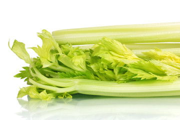fresh green celery isolated on white.