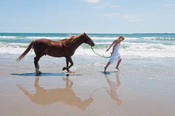 Horse running on beach