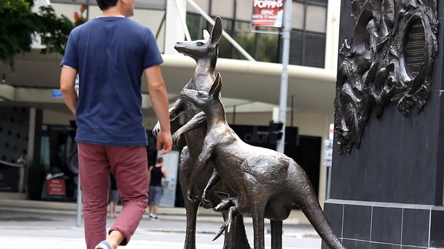 Youth Fight with the Kangaroo