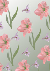 lily and orchid flowers background