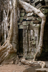 Naklejka premium Jungle temple