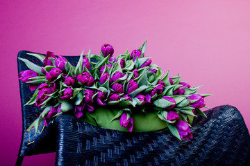 Purple tulips on black chair with green cushion