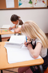 Portrait of pupils working