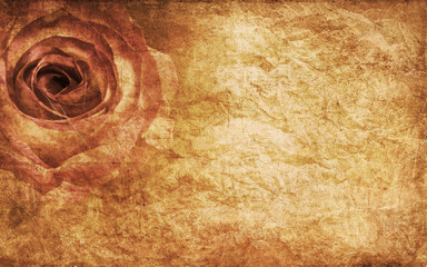 Textured rose