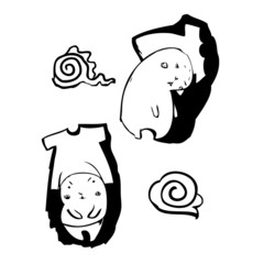 Hamster with shirt as hat