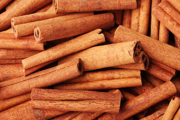 Cinnamon sticks closeup