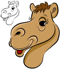 Camel Face