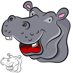 Hippopotamus