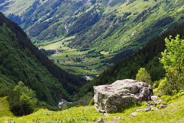 Fototapeta na wymiar Switzerland mountains in summer