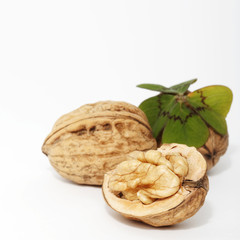Walnuts  isolated on a white background