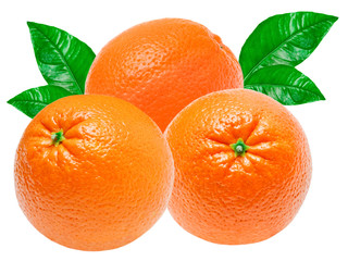 orange isolated on white background