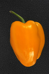 poivron jaune