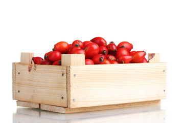 ripe briar in wooden box isolated on white