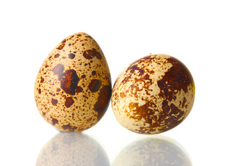 two quail eggs isilated on white
