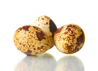 Obraz premium three quail eggs isilated on white