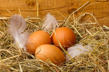 chicken eggs in a nest on wooden background