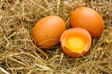 chicken eggs in a nest closeup