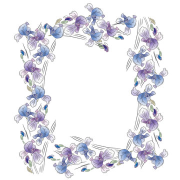 Frame with blue irises on white