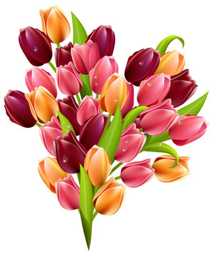 Bunch of tulips  isolated on white background