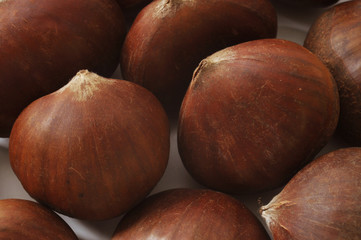 Chestnut