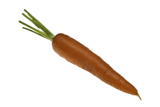 SIngle Organic Carrot