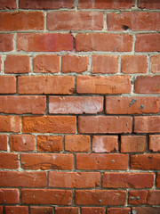 Bricks wall 