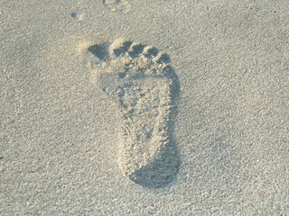 Fototapeta na wymiar Foot in the sand