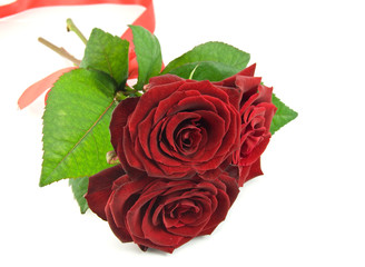 bouquet of red roses