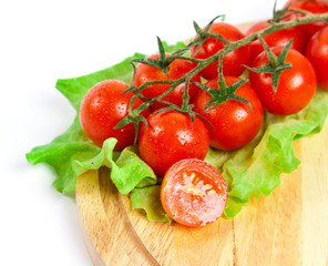 tomatoes