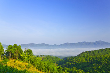 Sea of fog among the valley,Namprao village,Thailand