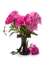 Pink peonies in a vase of black