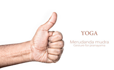 Yoga merudanda mudra
