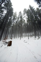 Polskie góry zimą. Beskid Żywiecki - Mała Rycerzowa. © jacekbieniek