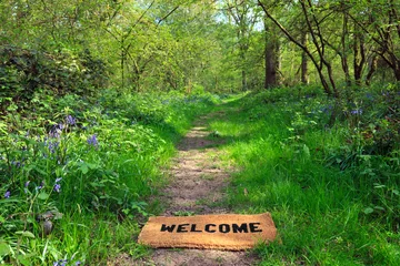 Photo sur Plexiglas Printemps Bienvenue dans la forêt de printemps horizontale