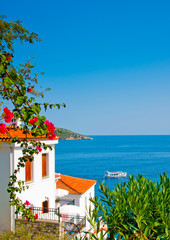 Beautifull view to the sea in Skiathos island Greece
