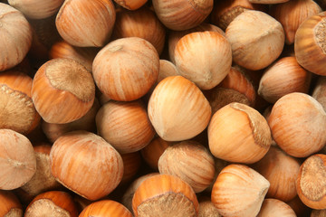 Hazelnuts