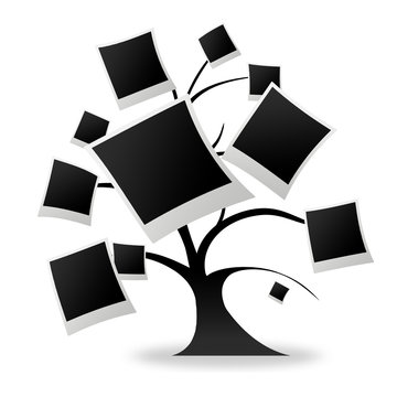 tree photos logo