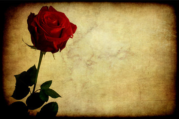 Rosa rossa, texture retro
