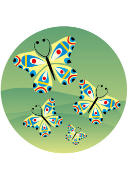 butterfly