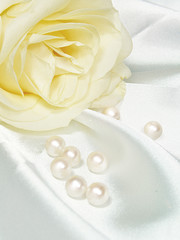 Beautiful rose with pearls