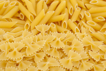 farfalle and penne