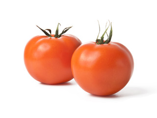 tomatoes on white background