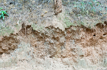 Erosion soil