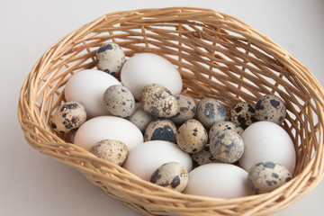 egg basket